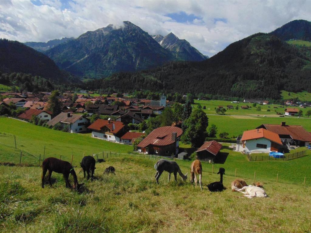 Villa Alpakahof Wechs Bad Hindelang Esterno foto